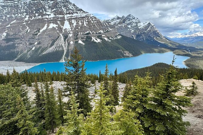 Columbia Icefield, Crowfoot Glacier and Bow ,Peyto Lake Tour - Lake Louise gives the morning a strong start