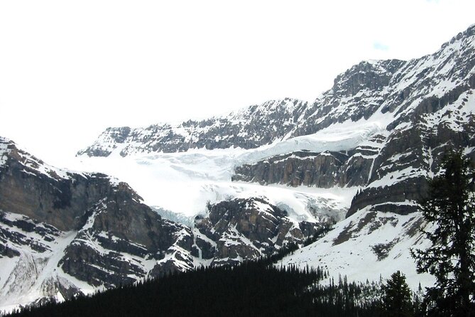 Columbia Icefield Glacier Adventure Day Tour from Calgary/ Banff - The return to Banff and Calgary