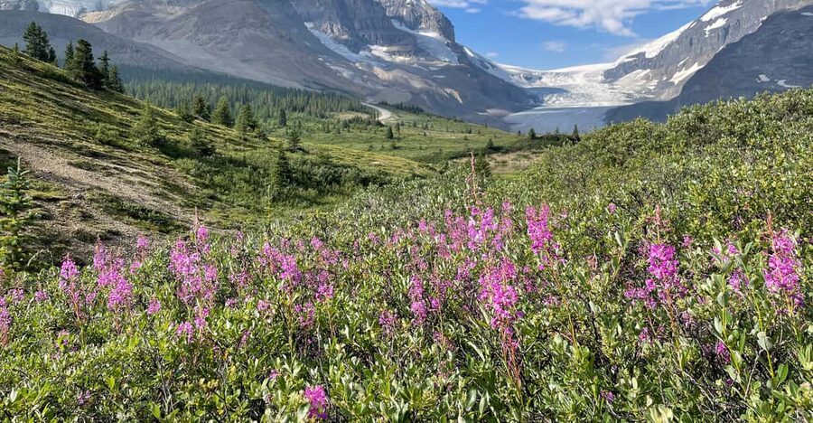 Columbia Icefield: Guided Glacier Hike - Gear that makes the walk easier