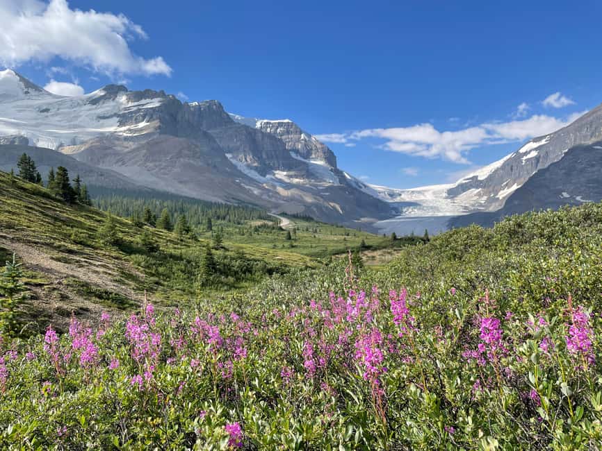 Columbia Icefield: Guided Glacier Hike - From the Icefield Information Centre to the trailhead