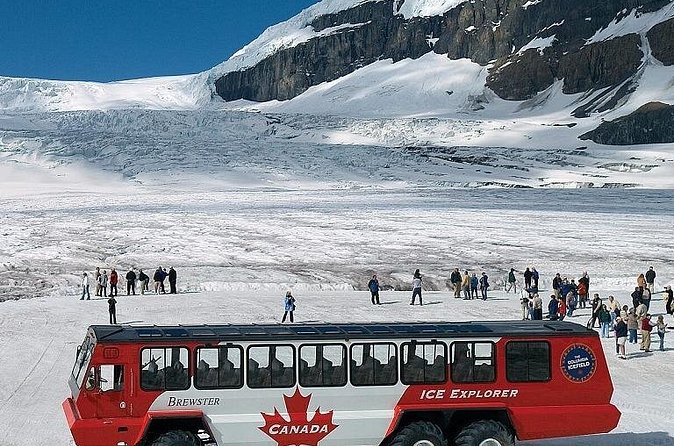 Columbia Icefield,Peyto Lake,Bow Lake Day Trip from Banff/Calgary - Peyto Lake and the famous wolf-head view