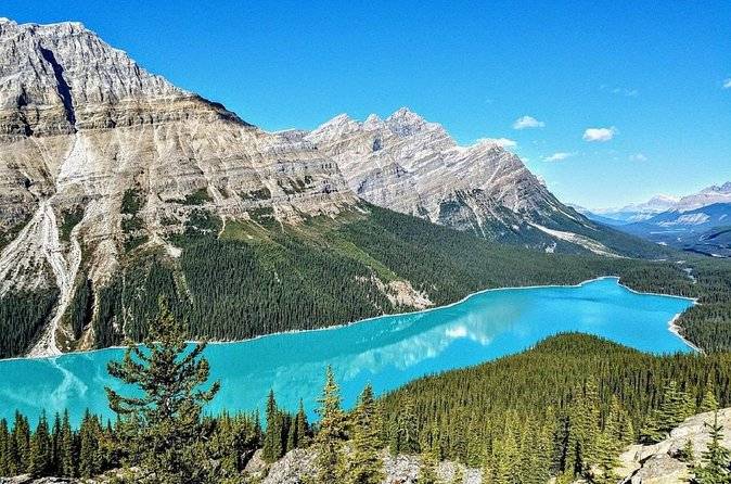 Columbia Icefield,Peyto Lake,Bow Lake Day Trip from Banff/Calgary - Is the $66.80 price good value?