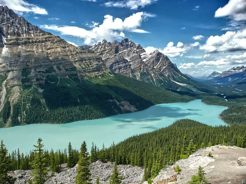 Columbia Icefield, Peyto Lake, Bow Lake Discovery Tour - Following The Icefields Parkway From Banff