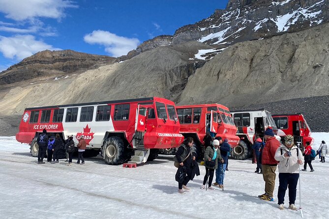 Columbia Icefield Peyto Lake Bow Lake from Calgary Canmore Banff - Key details to know before you go