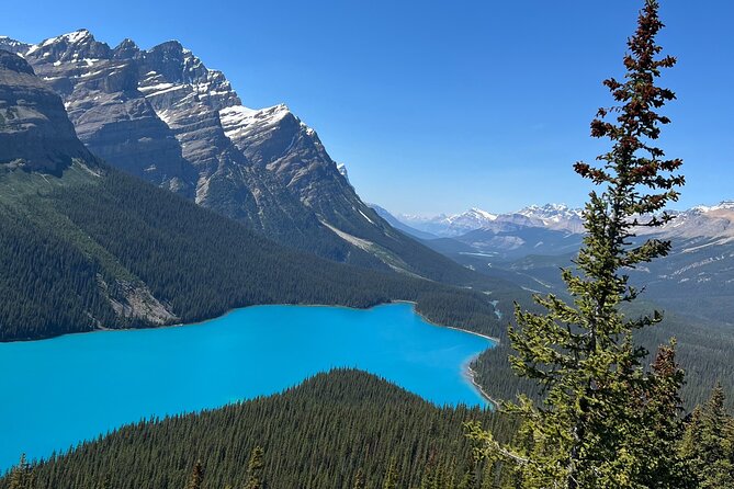 Columbia Icefield Peyto Lake Bow Lake from Calgary Canmore Banff - Peyto Lake is the photography highlight