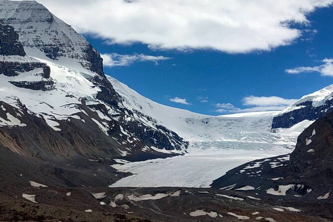 Columbia Icefield Peyto Lake Bow Lake from Calgary Canmore Banff - Wildlife and photography without false promises