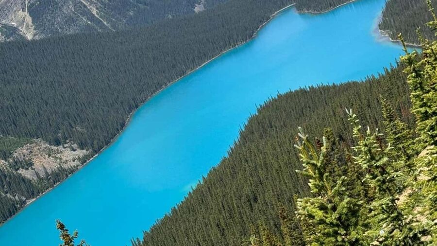 Columbia Icefield, Skywalk, Crowfoot Glacier, and Lakes Tour - Johnston Canyon adds a worthwhile walk