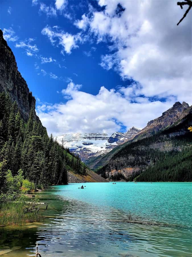 Columbia Icefield, Skywalk, Crowfoot Glacier, and Lakes Tour - Bow Lake offers an early taste of glacial color