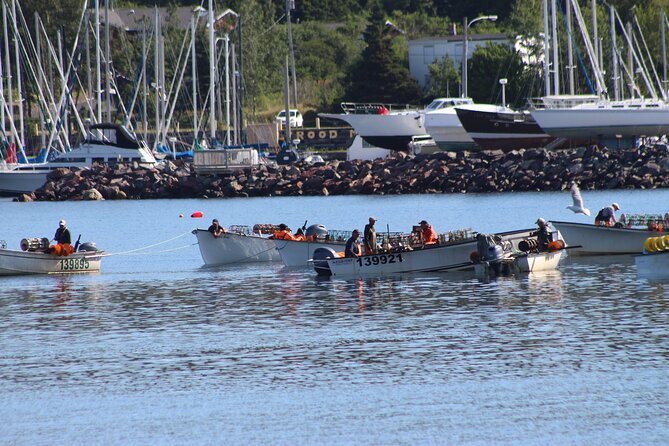 Conception Bay Tour Experience - What this Conception Bay day is really like