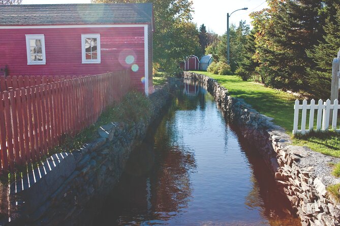 Conception Bay Tour Experience - Conception Harbour and the SS Charcot