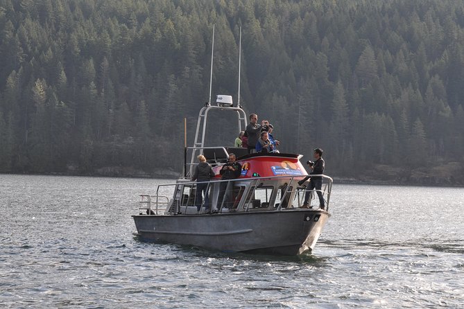 Covered Boat Whale Watching 4-Hour Tour from Campbell River - Setting out from Campbell River’s E Dock