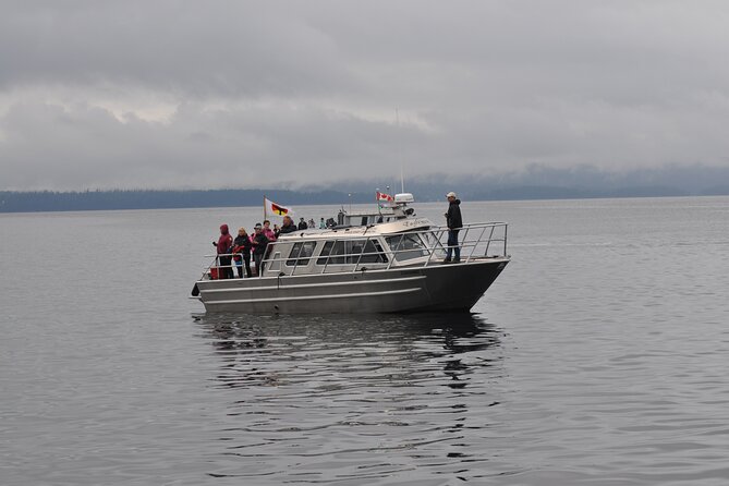 Covered Boat Whale Watching 4-Hour Tour from Campbell River - Small-group comfort, with one important catch