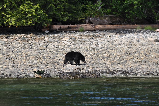 Covered Boat Whale Watching 6-Hour Tour from Campbell River - The possible southern route to Cape Mudge Lighthouse