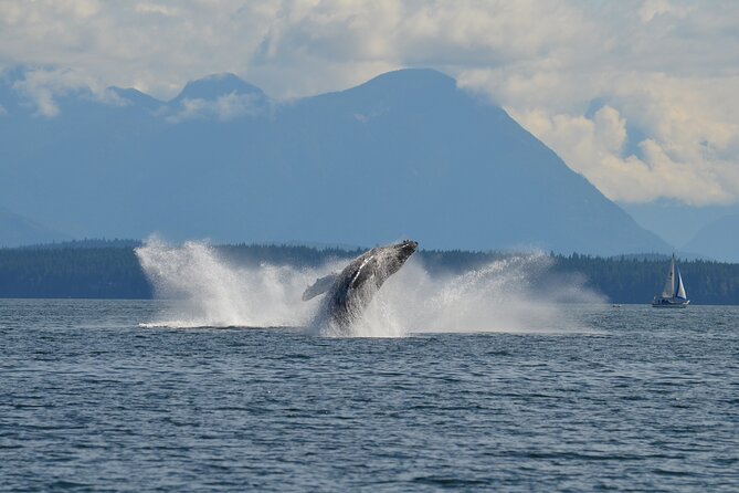 Covered Boat Whale Watching 6-Hour Tour from Campbell River - Who will enjoy this Campbell River cruise most