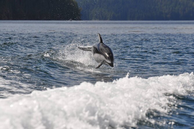 Covered Boat Whale Watching 6-Hour Tour from Campbell River - Booking, weather, and cancellation advice