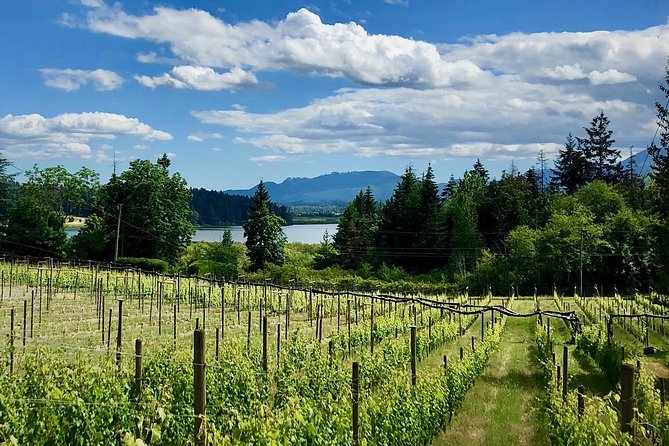 Cowichan Valley Premium Wine Tour - Key points to know before booking