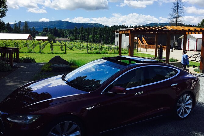 Cowichan Valley Premium Wine Tour - Alderlea, Emandare, and Rocky Creek