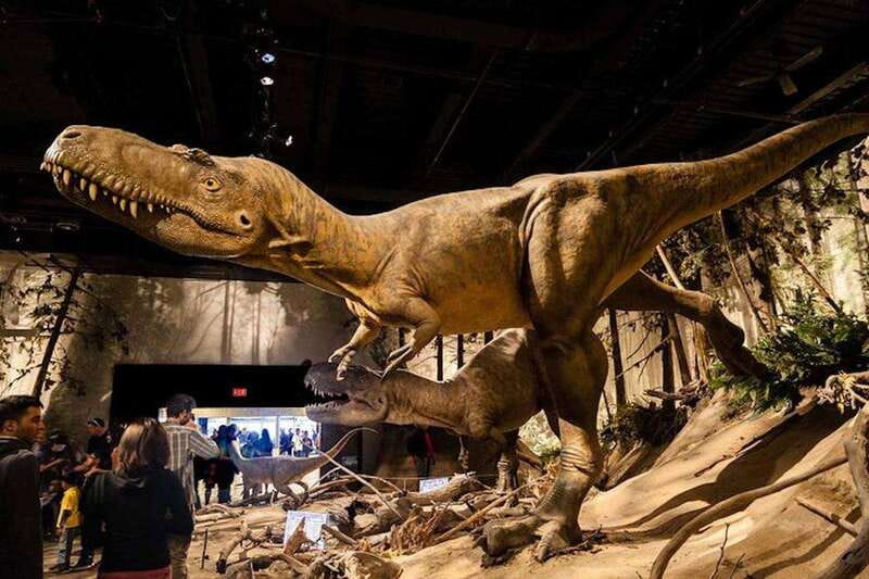 Day of Dinosaurs and Hoodoos From Calgary to the Badlands - Key points before you book