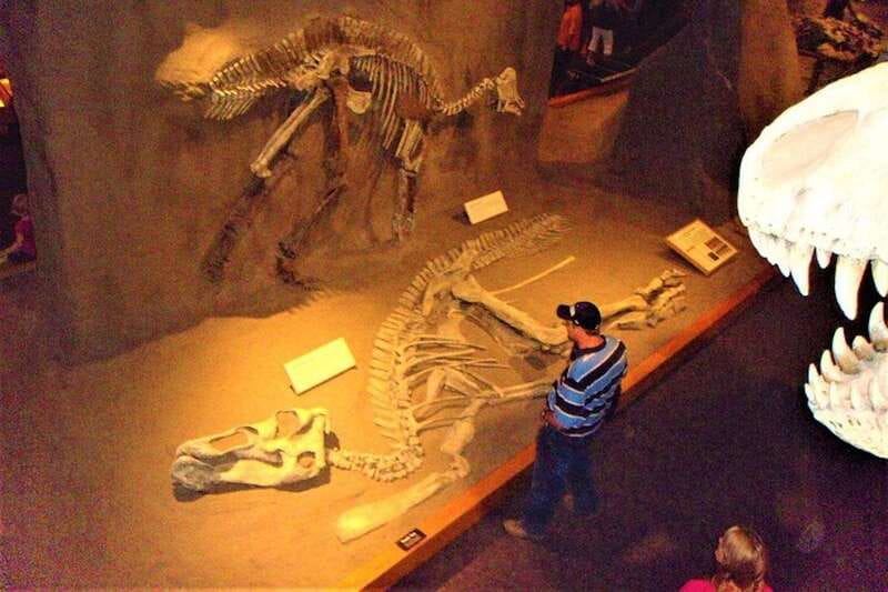 Day of Dinosaurs and Hoodoos From Calgary to the Badlands - Why this Drumheller day trip works