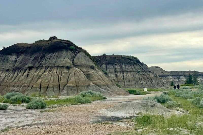 Day of Dinosaurs and Hoodoos From Calgary to the Badlands - Two and a half hours inside the Royal Tyrrell Museum
