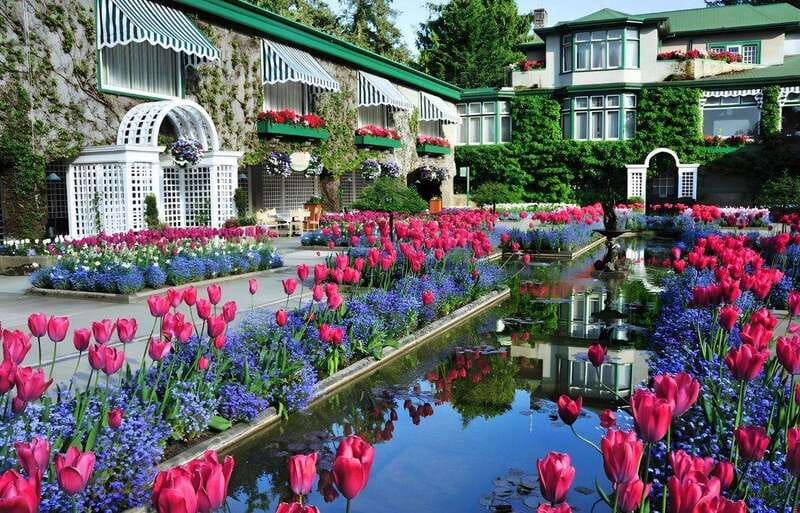 Day Trip from Vancouver to Victoria and Butchart Gardens - Chinatown and the Royal British Columbia Museum