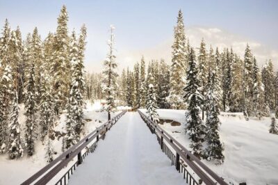 Day Trip: Lake Louise, Moraine Lake, Emerald Lake, Banff