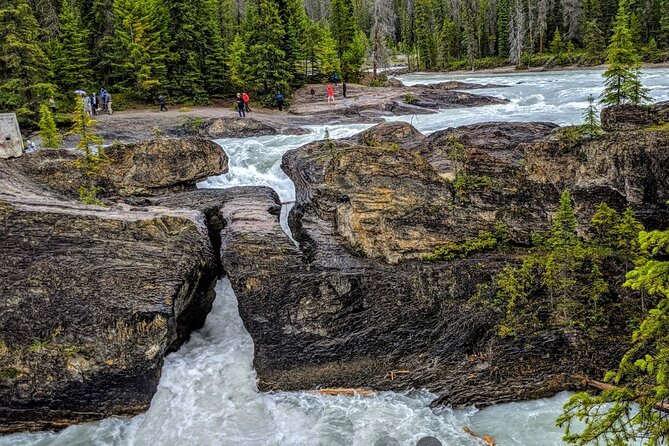 Day Trip: Lake Louise, Moraine Lake, Emerald Lake, Banff - Lunch at Lake Louise Village
