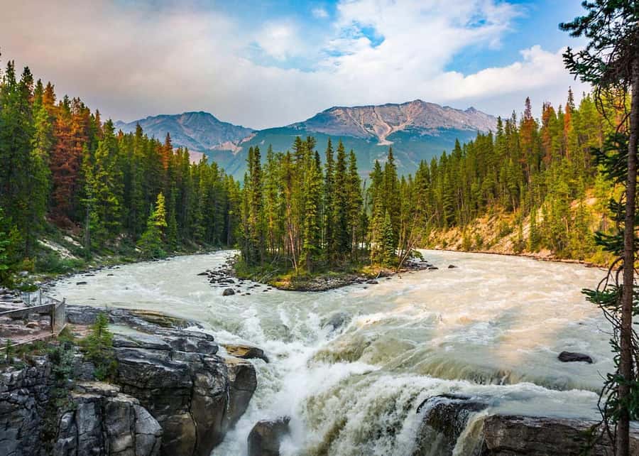 Day Trip to Jasper + Banff with picnic and drinks - The details that matter most