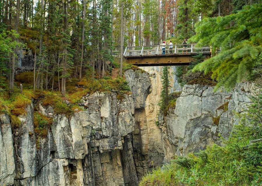 Day Trip to Jasper + Banff with picnic and drinks - Tangle Creek Falls, a quick roadside surprise