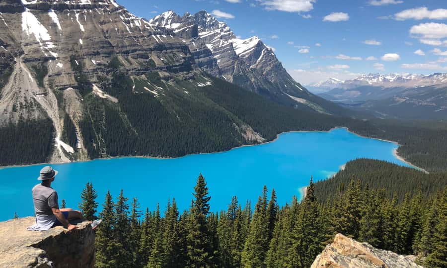 Day Trip to Jasper + Banff with picnic and drinks - Peyto Lake delivers the blue-water finale