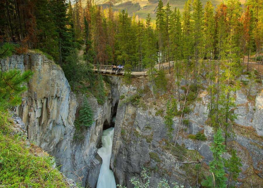 Day Trip to Jasper + Banff with picnic and drinks - The guide can shape the whole experience