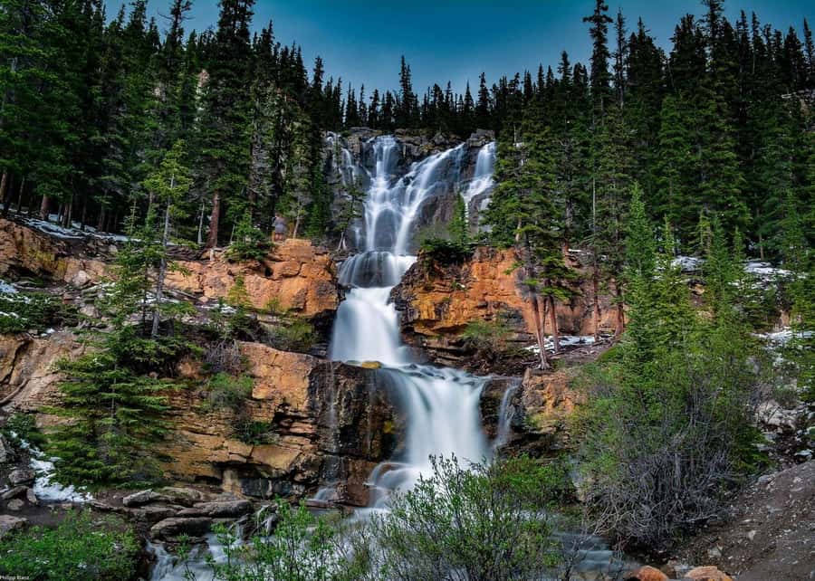 Day Trip to Jasper + Banff with picnic and drinks - Is $124 per person good value?