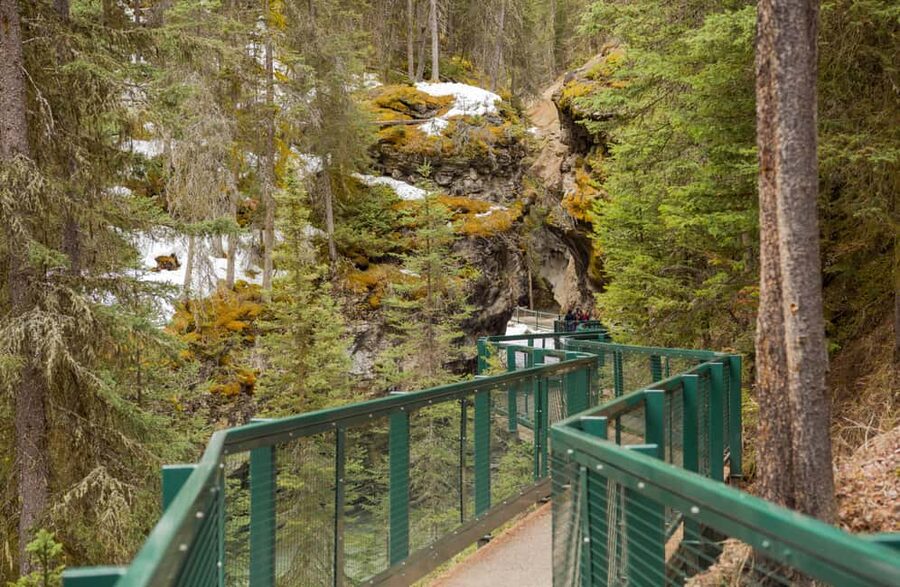 Deep Day Tour to Peyto, Moraine, Louise Lakes, J. Canyon... - Crowfoot Glacier and Bow Lake add variety