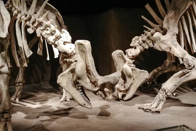 Dinosaurs, Canyons & Ghost Towns: Ultimate Drumheller Day Tour - Starting at Horseshoe Canyon near Rosebud