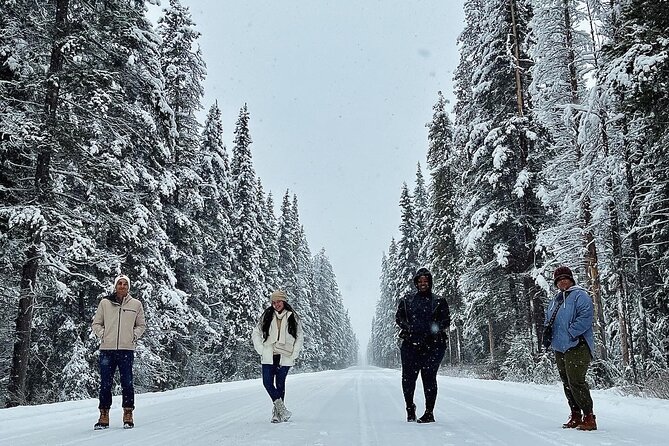 Discover Banff National Park Day Trip From Calgary - The guide can shape the whole day