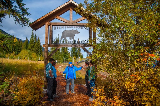 Discover Grizzly Bears from Banff - A full day from Banff into grizzly country
