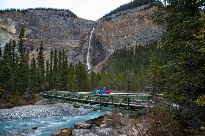 Discover Grizzly Bears from Banff - Seasonal changes, 2025 and 2026 details