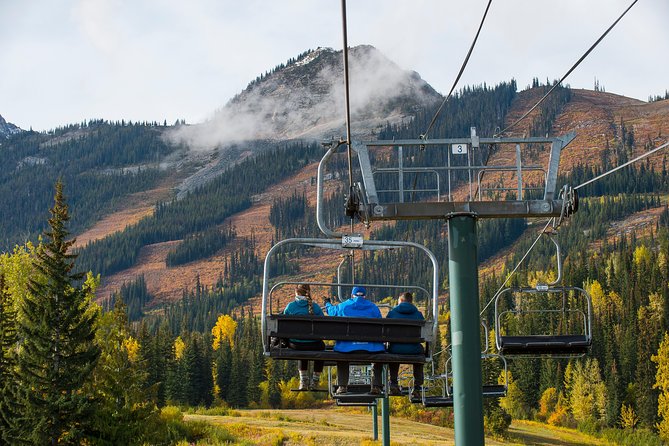 Discover Grizzly Bears from Banff - Takakkaw Falls and the road that controls the itinerary