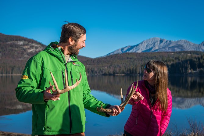 Discover Jasper and its Wildlife - A three-hour search through Jasper National Park