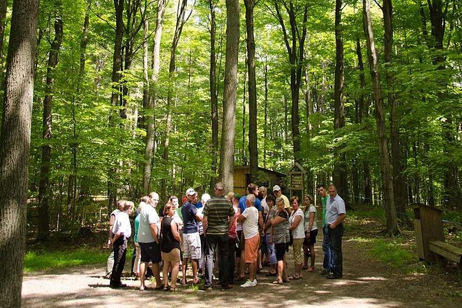 Discover Maple Sugar Bush Tour - White Meadows Farms at a glance