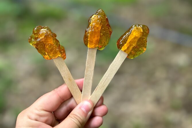 Discover Maple Sugar Bush Tour - Why this maple tour is worth your time