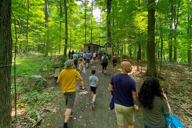Discover Maple Sugar Bush Tour - Adding the syrup tasting or charcuterie board