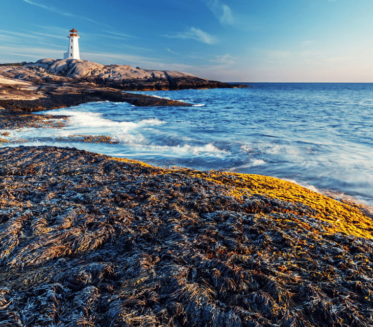 Discover Peggy's Cove: Private Journey from Halifax - Key points at a glance