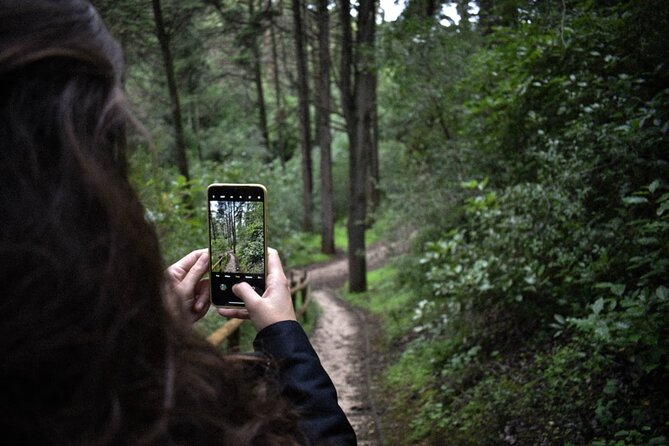 Discover the Lake Agnes Tea House Trail with an Audio Nature Tour - How reliable is the app?