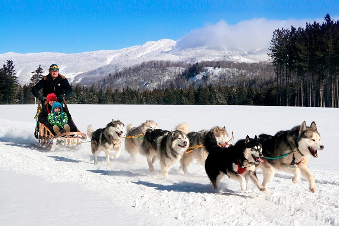 Dogsled Diable Adventure in Mont-Tremblant - Driving the dogs through snowy valley trails