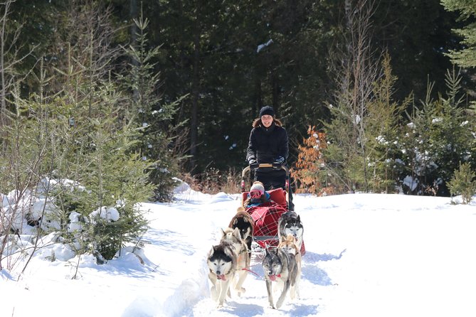 Dogsled Diable Adventure in Mont-Tremblant - Practical planning for a smoother day