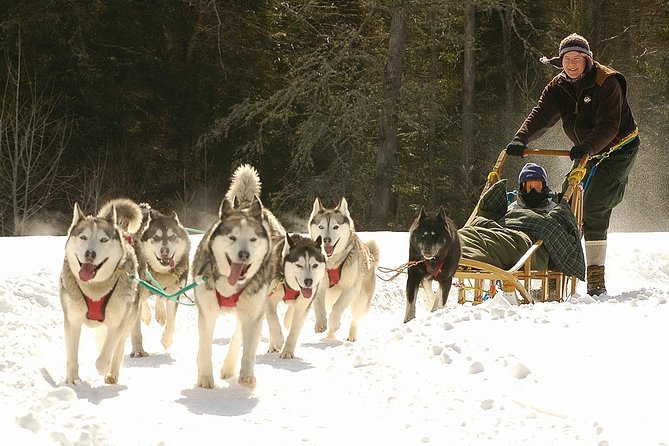 Dogsled Diable Adventure in Mont-Tremblant - The safety briefing explains more than where to sit
