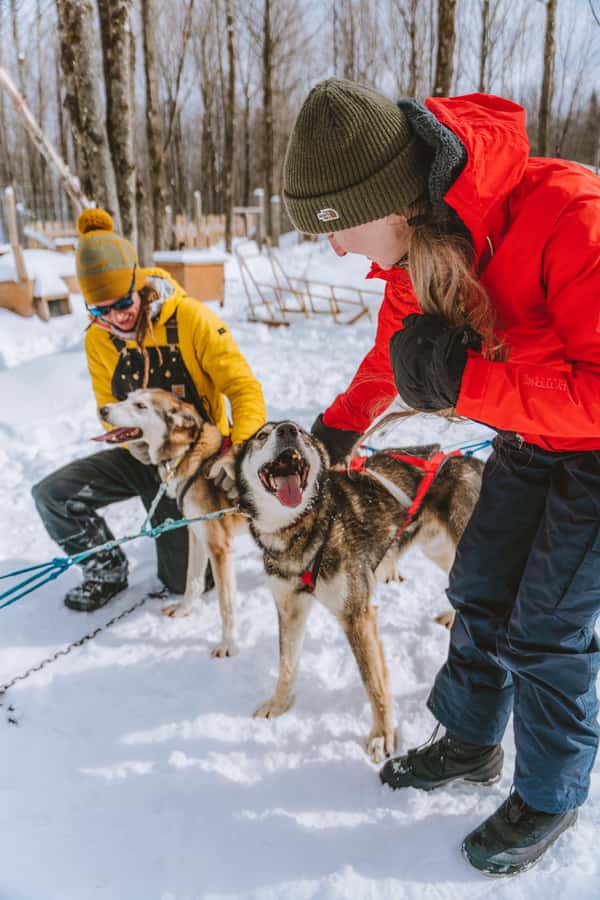Dogsledding Upper Laurentians near Mont-Tremblant - Why this ride feels more personal