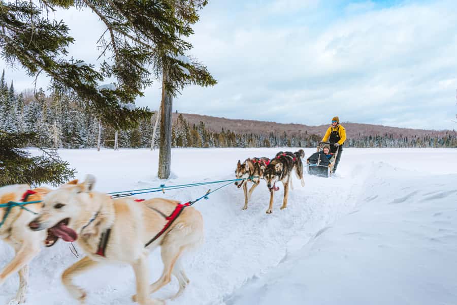 Dogsledding Upper Laurentians near Mont-Tremblant - The safety briefing and choosing your role