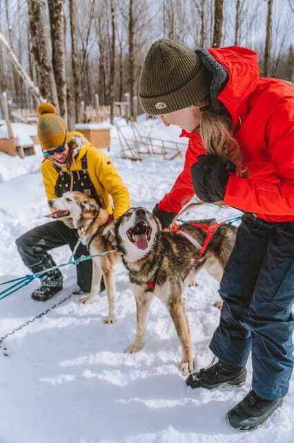 Dogsledding Upper Laurentians near Mont-Tremblant - Is $185 per person a fair price?